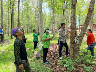 3. กิจกรรมอบรมเชิงปฏิบัติการ การเตรียมความพร้อมเพื่อจัดทำคาร์บอนเครดิตของป่าชุมชนท่าทองแดง วันที่ 20 พฤษภาคม 2567 ณ ป่าชุมชนท่าทองแดง หมู่ที่ 7 ตำบลนาโบสถ์ อำเภอวังเจ้า จังหวัดตาก